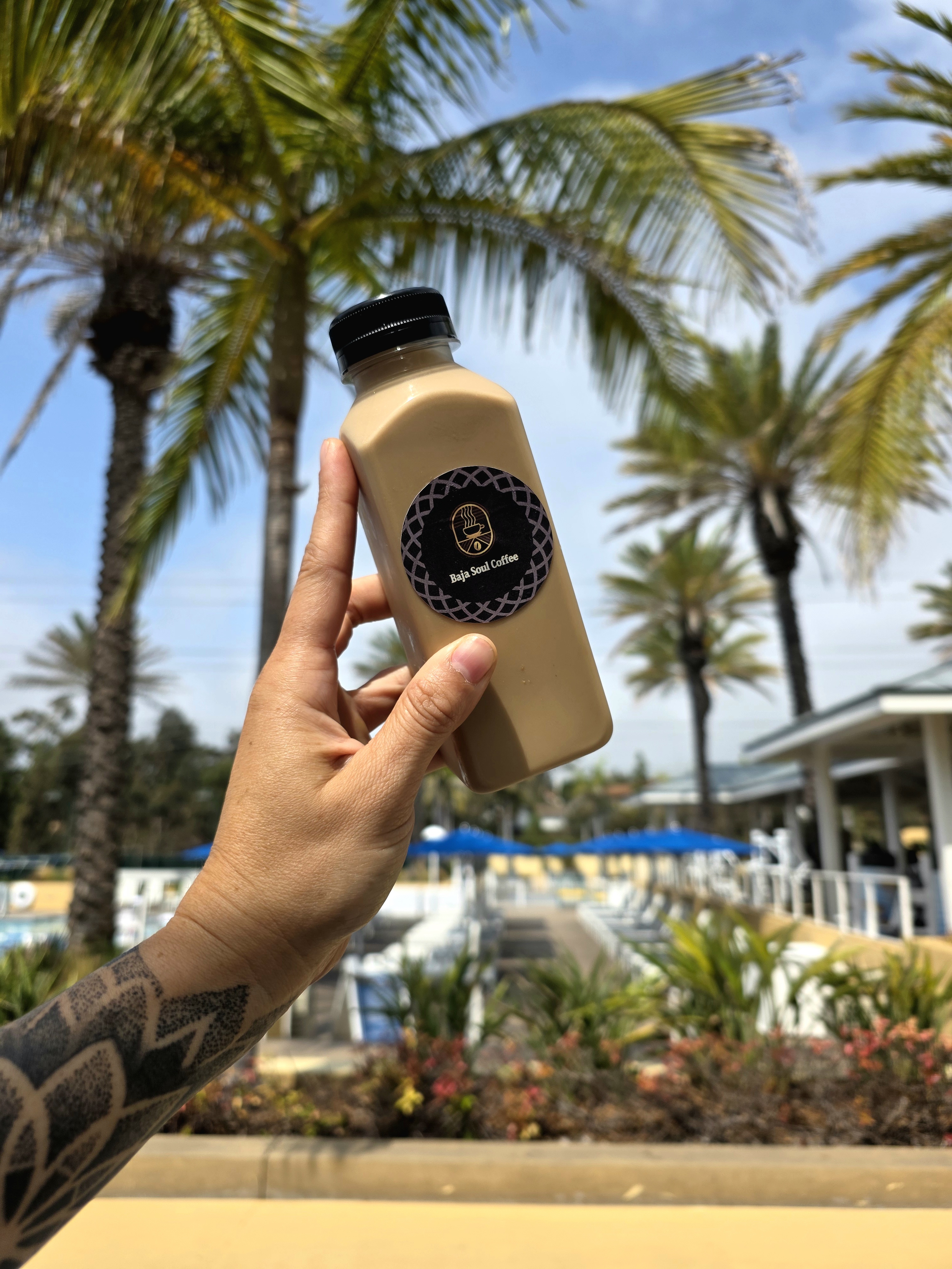 Cold brew bottles lined up
